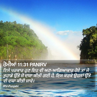 ਰੋਮੀਆਂ 11:31 PANIRV Bible Verse Image