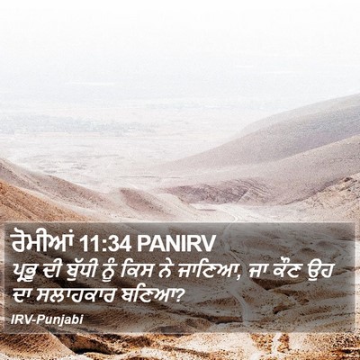 ਰੋਮੀਆਂ 11:34 PANIRV Bible Verse Image