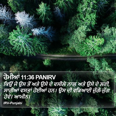ਰੋਮੀਆਂ 11:36 PANIRV Bible Verse Image