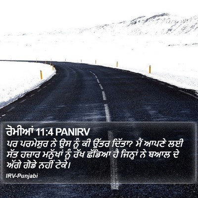 ਰੋਮੀਆਂ 11:4 PANIRV Bible Verse Image