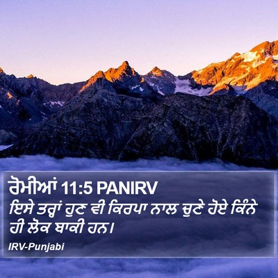 ਰੋਮੀਆਂ 11:5 PANIRV Bible Verse Image