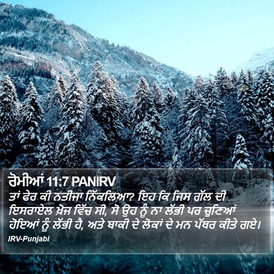 ਰੋਮੀਆਂ 11:7 PANIRV Bible Verse Image
