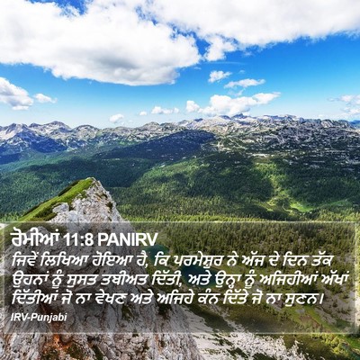 ਰੋਮੀਆਂ 11:8 PANIRV Bible Verse Image