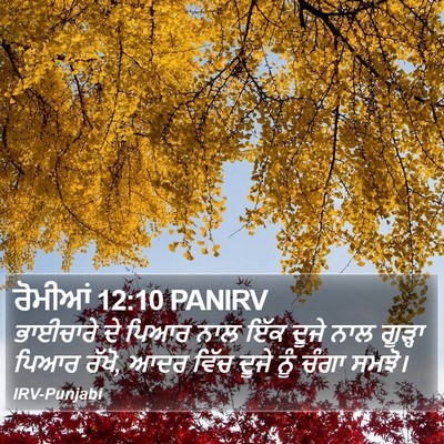 ਰੋਮੀਆਂ 12:10 PANIRV Bible Verse Image