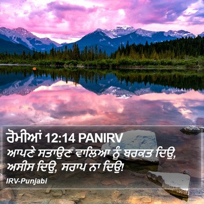 ਰੋਮੀਆਂ 12:14 PANIRV Bible Verse Image