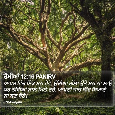 ਰੋਮੀਆਂ 12:16 PANIRV Bible Verse Image