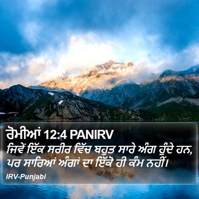 ਰੋਮੀਆਂ 12:4 PANIRV Bible Verse Image