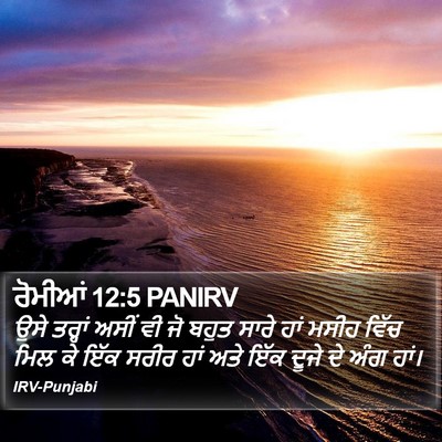 ਰੋਮੀਆਂ 12:5 PANIRV Bible Verse Image