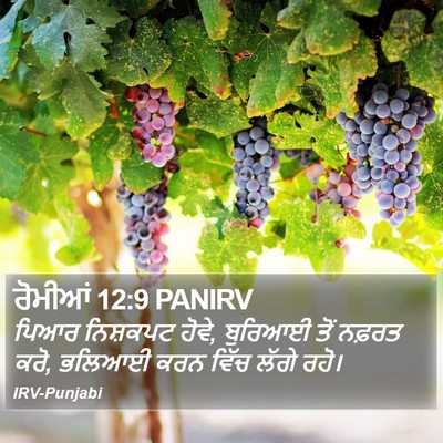 ਰੋਮੀਆਂ 12:9 PANIRV Bible Verse Image