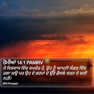 ਰੋਮੀਆਂ 14:1 PANIRV Bible Verse Image