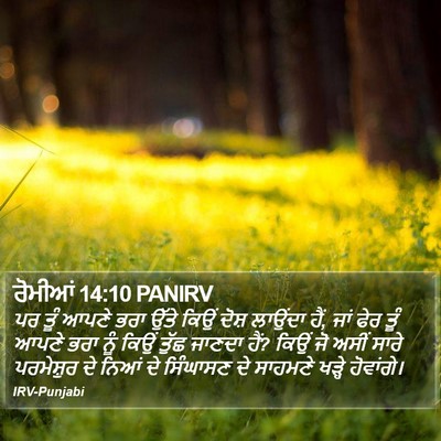 ਰੋਮੀਆਂ 14:10 PANIRV Bible Verse Image