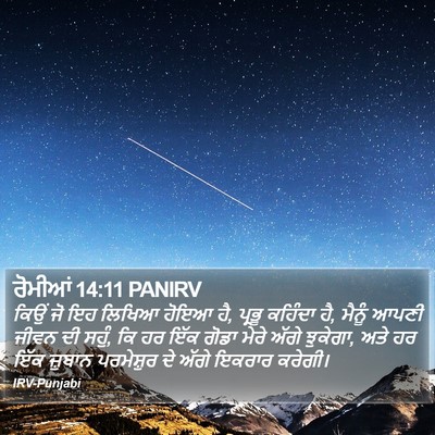 ਰੋਮੀਆਂ 14:11 PANIRV Bible Verse Image