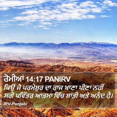 ਰੋਮੀਆਂ 14:17 PANIRV Bible Verse Image