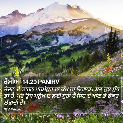 ਰੋਮੀਆਂ 14:20 PANIRV Bible Verse Image