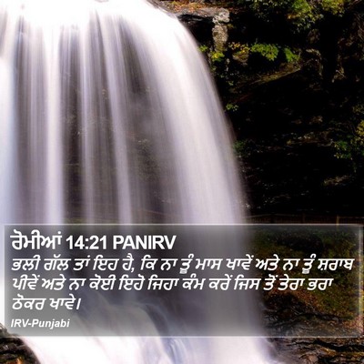 ਰੋਮੀਆਂ 14:21 PANIRV Bible Verse Image