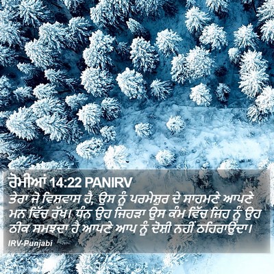 ਰੋਮੀਆਂ 14:22 PANIRV Bible Verse Image
