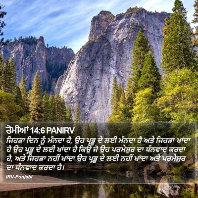 ਰੋਮੀਆਂ 14:6 PANIRV Bible Verse Image