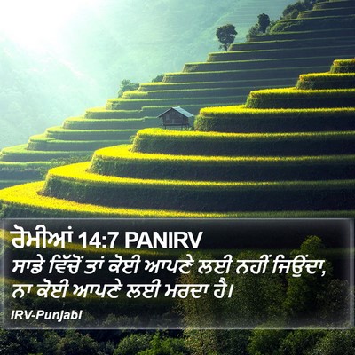 ਰੋਮੀਆਂ 14:7 PANIRV Bible Verse Image
