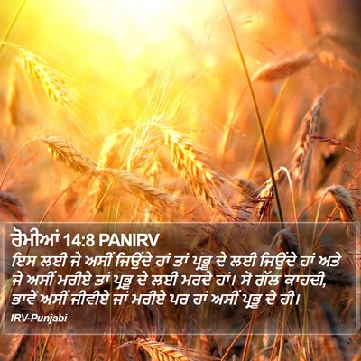 ਰੋਮੀਆਂ 14:8 PANIRV Bible Verse Image