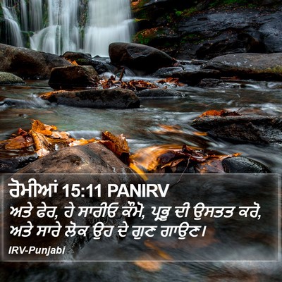 ਰੋਮੀਆਂ 15:11 PANIRV Bible Verse Image