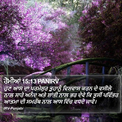 ਰੋਮੀਆਂ 15:13 PANIRV Bible Verse Image
