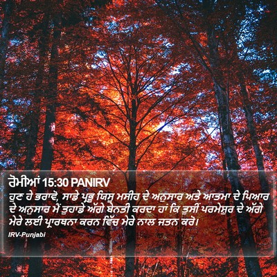ਰੋਮੀਆਂ 15:30 PANIRV Bible Verse Image