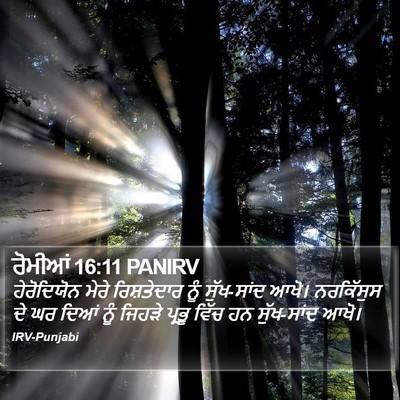 ਰੋਮੀਆਂ 16:11 PANIRV Bible Verse Image