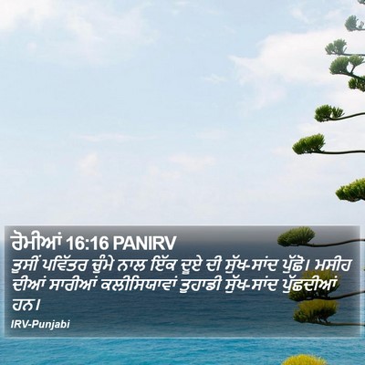 ਰੋਮੀਆਂ 16:16 PANIRV Bible Verse Image