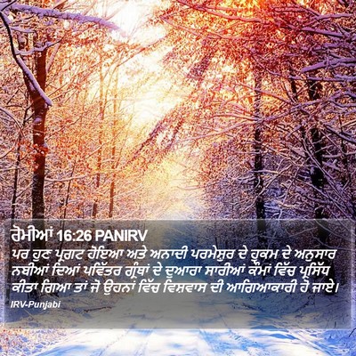 ਰੋਮੀਆਂ 16:26 PANIRV Bible Verse Image