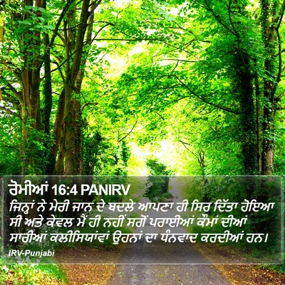 ਰੋਮੀਆਂ 16:4 PANIRV Bible Verse Image