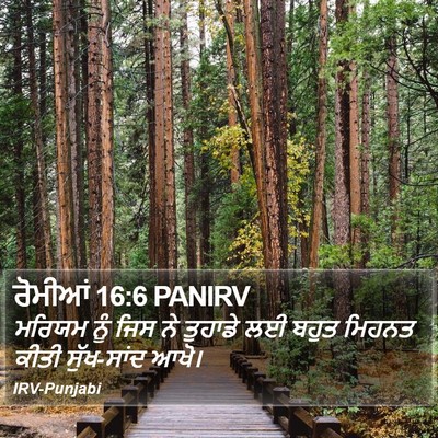ਰੋਮੀਆਂ 16:6 PANIRV Bible Verse Image
