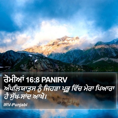 ਰੋਮੀਆਂ 16:8 PANIRV Bible Verse Image