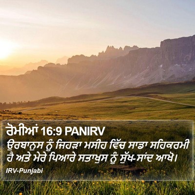 ਰੋਮੀਆਂ 16:9 PANIRV Bible Verse Image