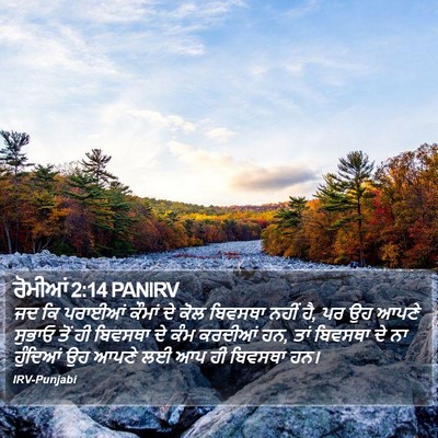ਰੋਮੀਆਂ 2:14 PANIRV Bible Verse Image