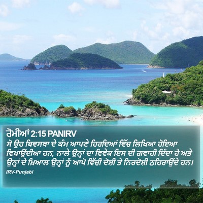 ਰੋਮੀਆਂ 2:15 PANIRV Bible Verse Image