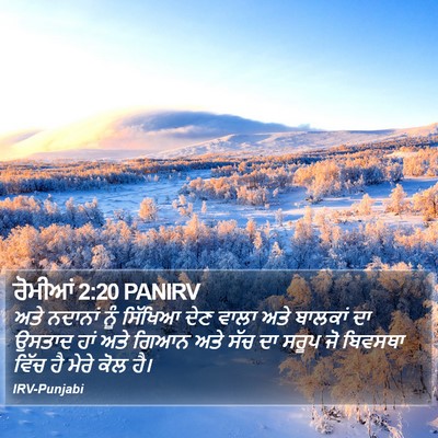 ਰੋਮੀਆਂ 2:20 PANIRV Bible Verse Image