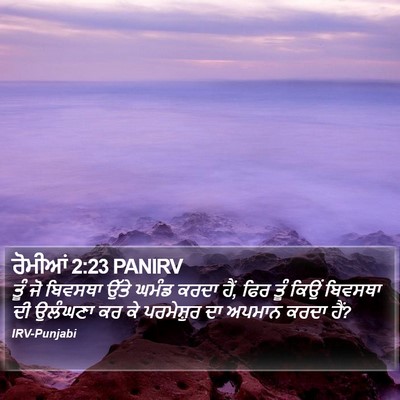 ਰੋਮੀਆਂ 2:23 PANIRV Bible Verse Image