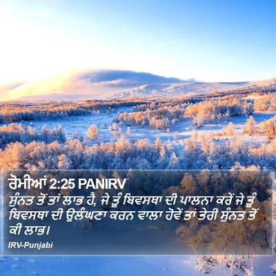 ਰੋਮੀਆਂ 2:25 PANIRV Bible Verse Image