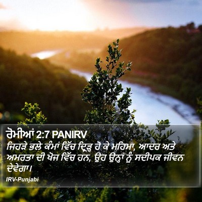 ਰੋਮੀਆਂ 2:7 PANIRV Bible Verse Image