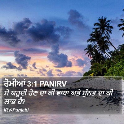 ਰੋਮੀਆਂ 3:1 PANIRV Bible Verse Image