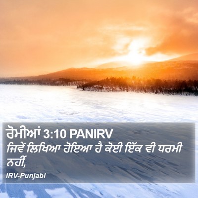 ਰੋਮੀਆਂ 3:10 PANIRV Bible Verse Image