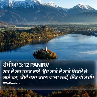 ਰੋਮੀਆਂ 3:12 PANIRV Bible Verse Image