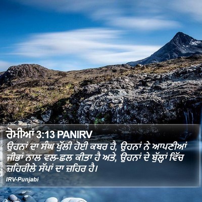 ਰੋਮੀਆਂ 3:13 PANIRV Bible Verse Image