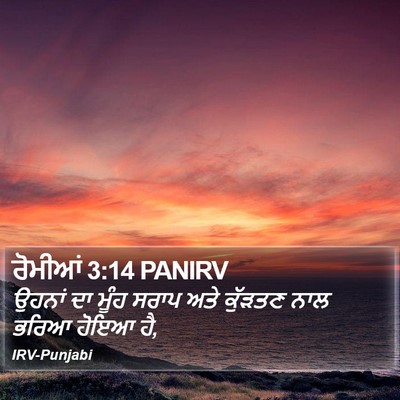 ਰੋਮੀਆਂ 3:14 PANIRV Bible Verse Image