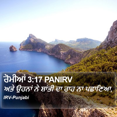 ਰੋਮੀਆਂ 3:17 PANIRV Bible Verse Image