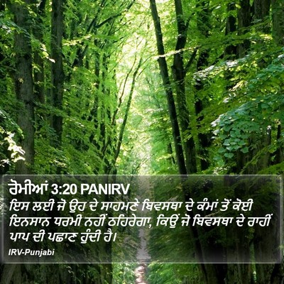 ਰੋਮੀਆਂ 3:20 PANIRV Bible Verse Image