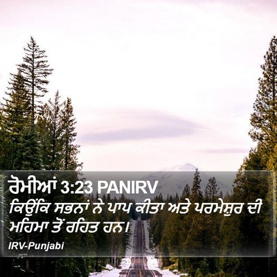 ਰੋਮੀਆਂ 3:23 PANIRV Bible Verse Image