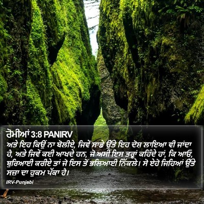 ਰੋਮੀਆਂ 3:8 PANIRV Bible Verse Image