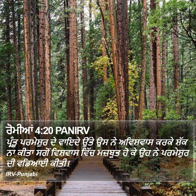 ਰੋਮੀਆਂ 4:20 PANIRV Bible Verse Image