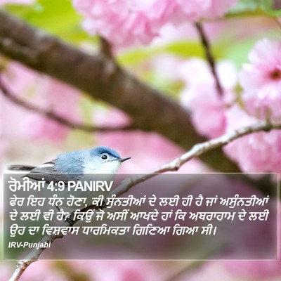 ਰੋਮੀਆਂ 4:9 PANIRV Bible Verse Image